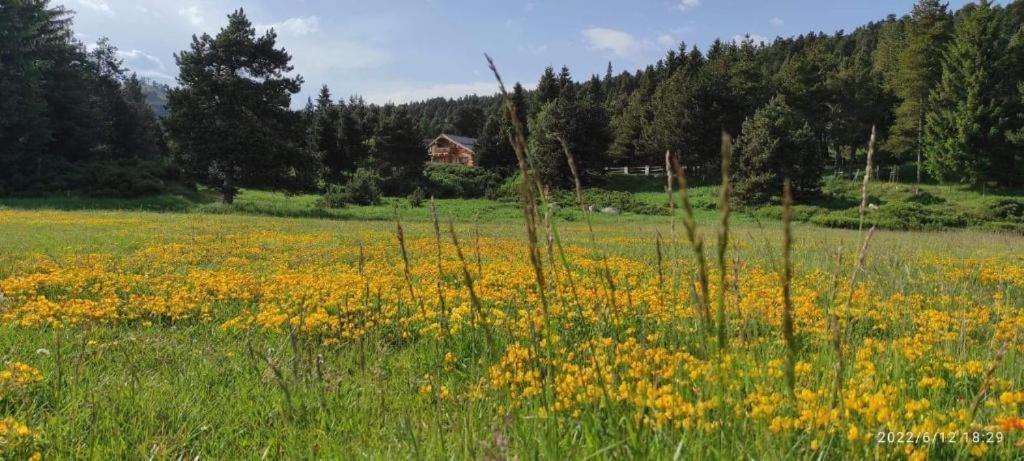 Apt Confortable Au Pied Des Pistes Et De La Foret Bolquere Exterior photo